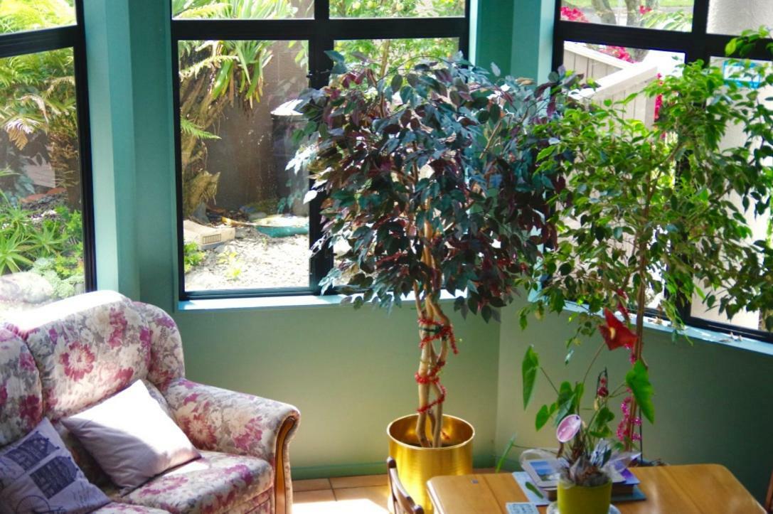Hamilton East Homestay Zewnętrze zdjęcie